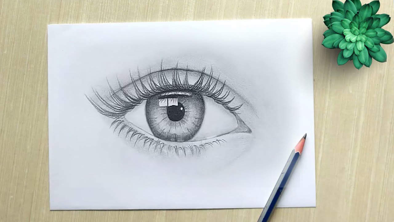 Eye How to Draw Eyes | Realistic Eye Drawing Easy - YouTube