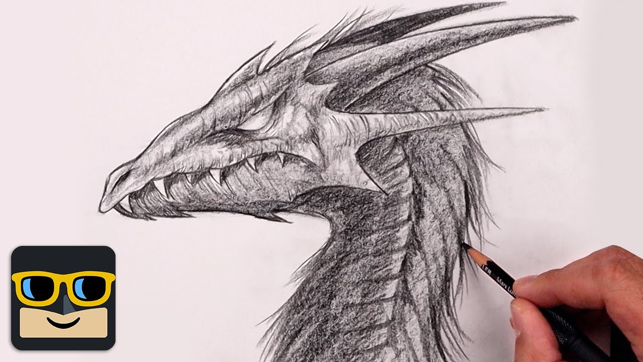 Incredible Compilation: Over 999 Dragon Drawing Images - Astonishing ...