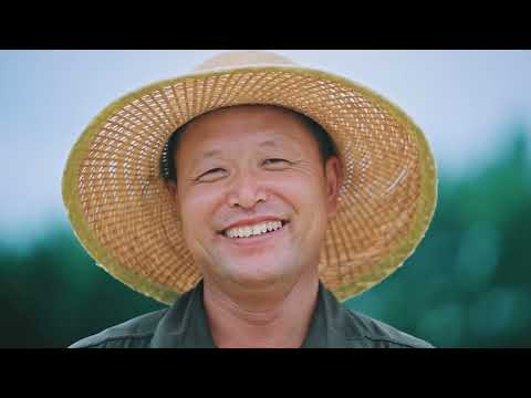 China Matters' Feature: Beidahuang: Green Development on Black Soil