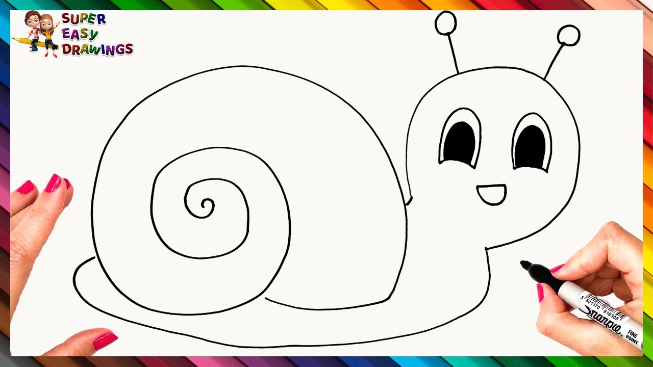 How To Draw A Snail Step By Step  Snail Drawing Easy - YouTube