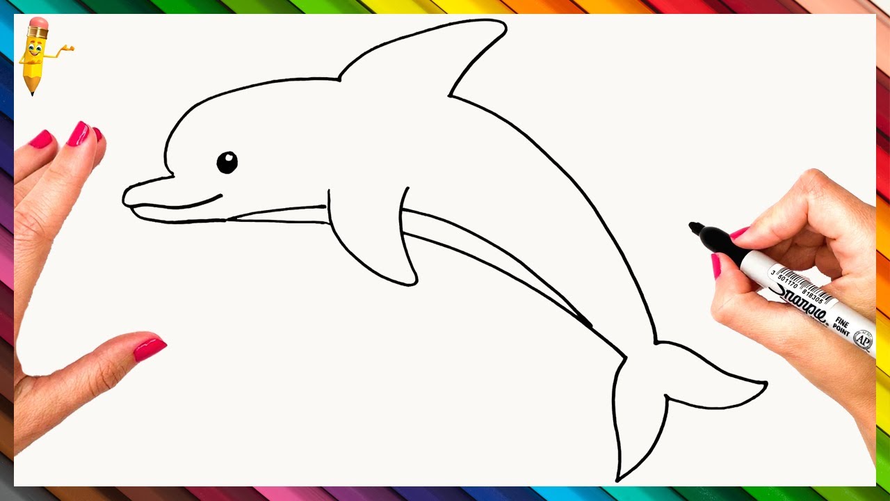 How To Draw A Dolphin Step By Step  Dolphin Drawing Easy - YouTube