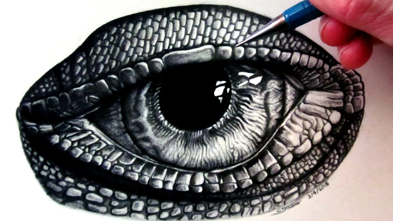 Lizard Eye