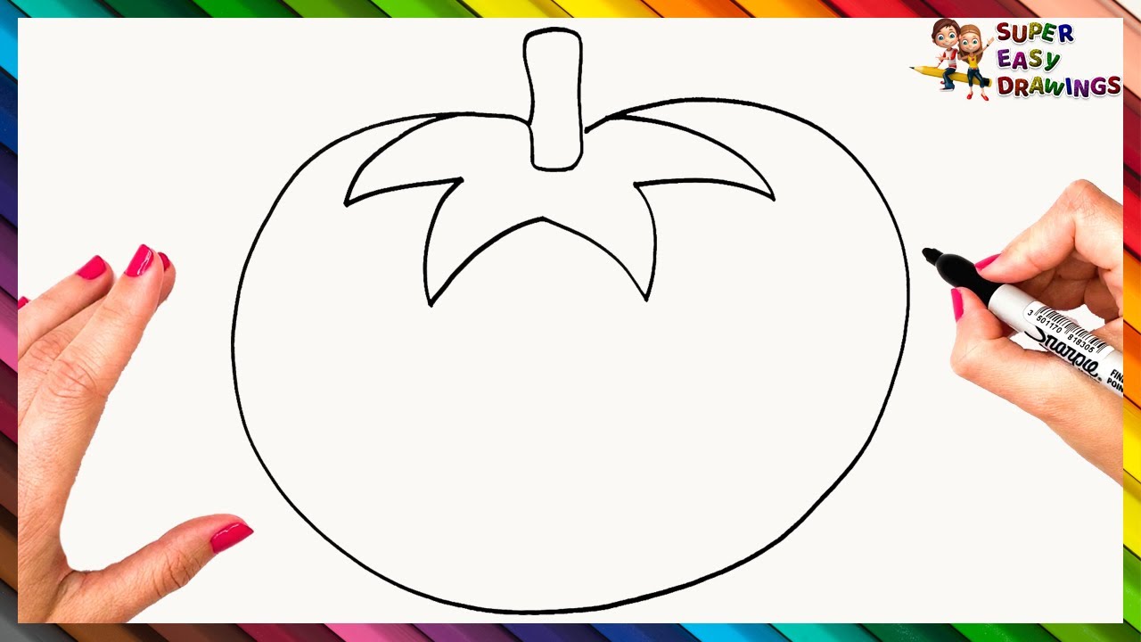 How To Draw A Tomato Step By Step  Tomato Drawing Easy - YouTube