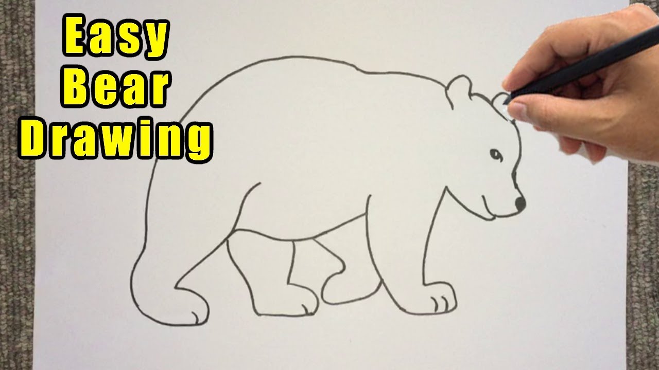 How to Draw a Bear Outline Drawing | Easy Bear Sketch Step by Step ...