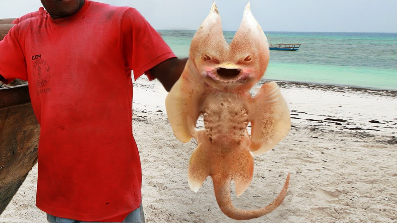 Real Weird Creatures Found