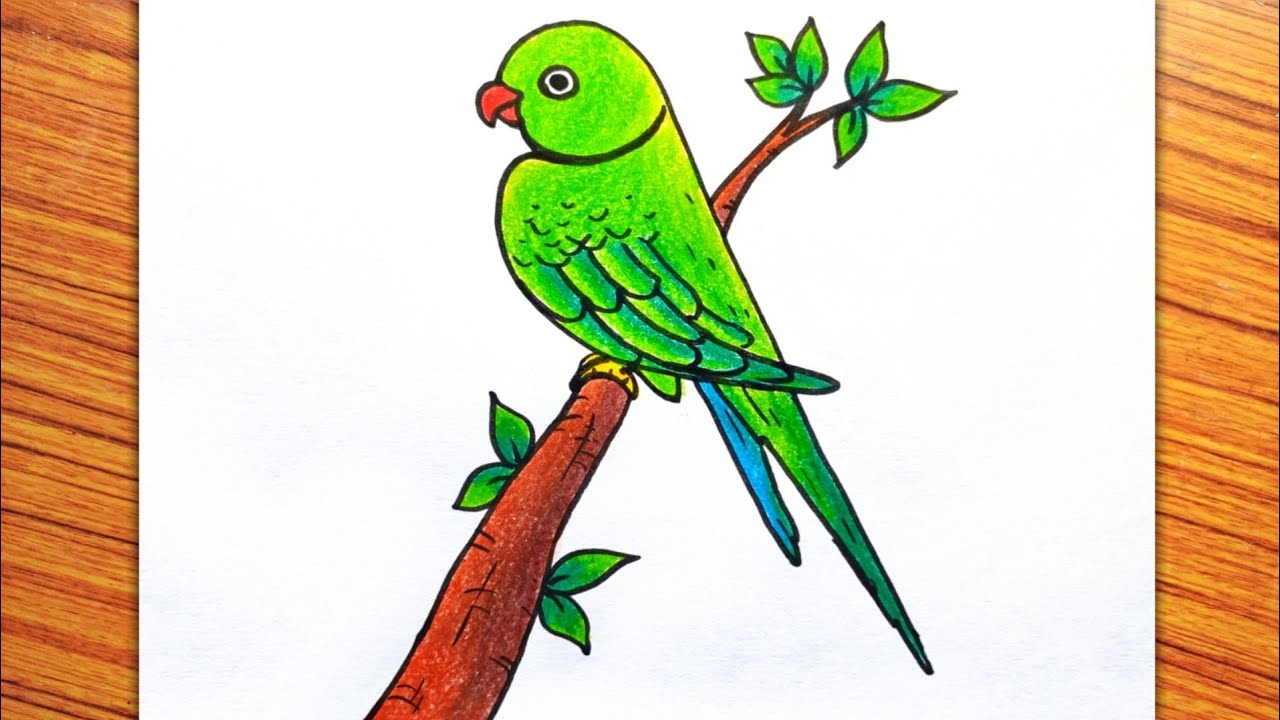 Parrot Drawing Easy, Parrot on Tree Drawing, How to Draw a Bird ...