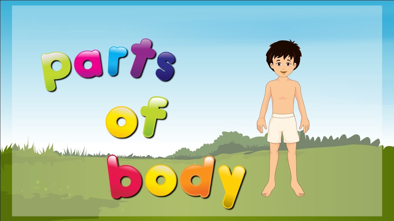 Body Parts Animated Images - Body Animated Cartoon Body | Bodegawasues