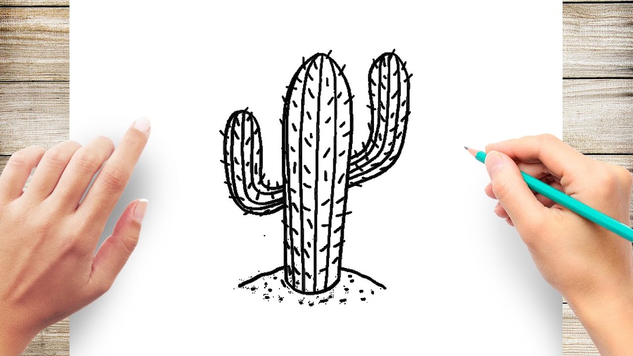 How To Draw Realistic Cactus Easy - YouTube