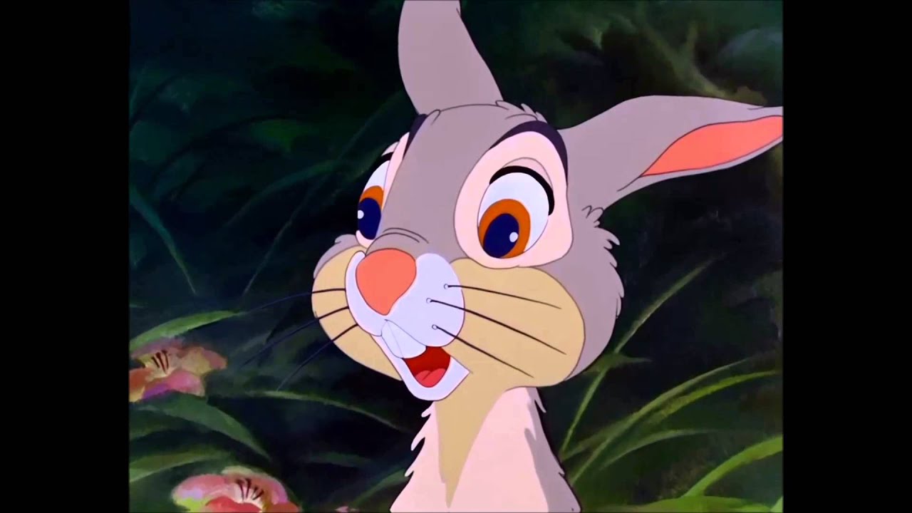 Thumper In Love