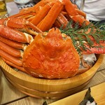 273846705 - snow crab