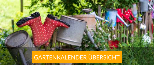 Das Gartenjahr - Gartenkalender