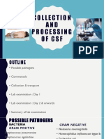 Collection and Processing of CSF