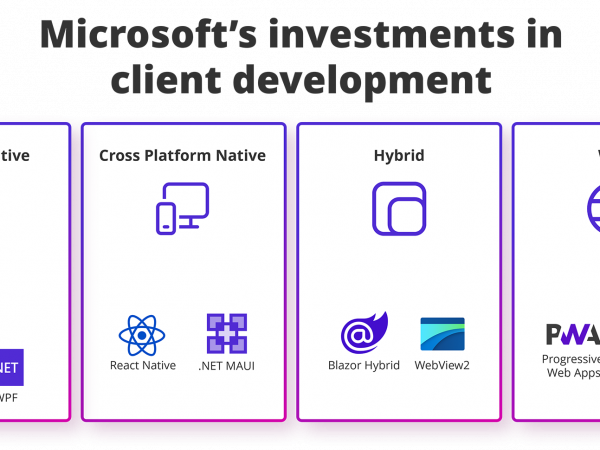 Chart showing Microsoft investments in client development