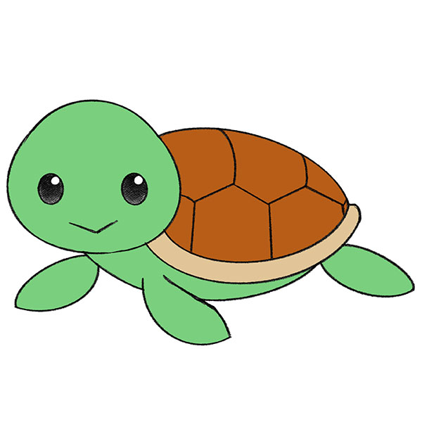 how to draw a turtle for kids