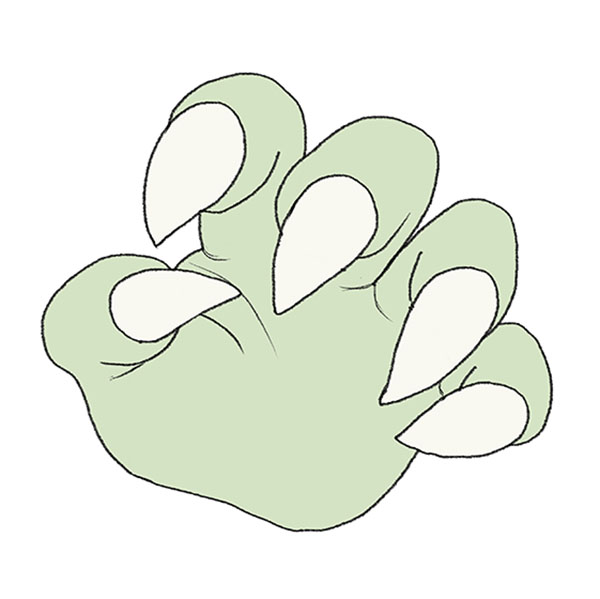 how to draw claws