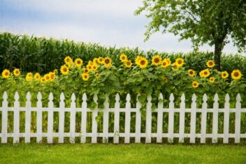 Decorative Fences