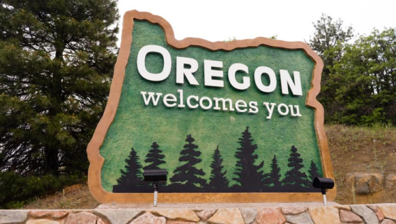 Best Oregon LLC Services In 2025