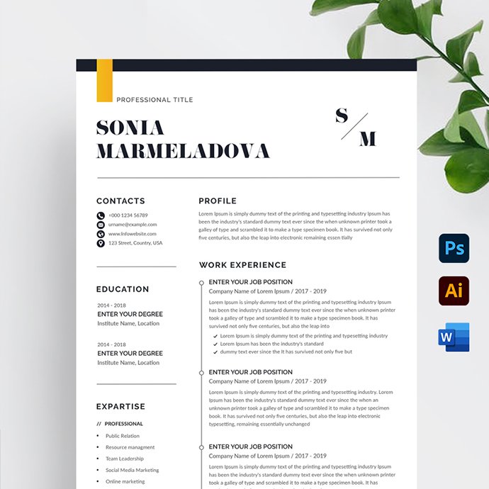 Professional resume template with a yellow stripe.