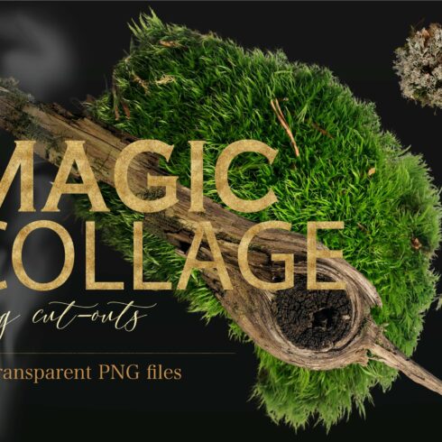 Magic collage. Scene Creator Mockup cover image.