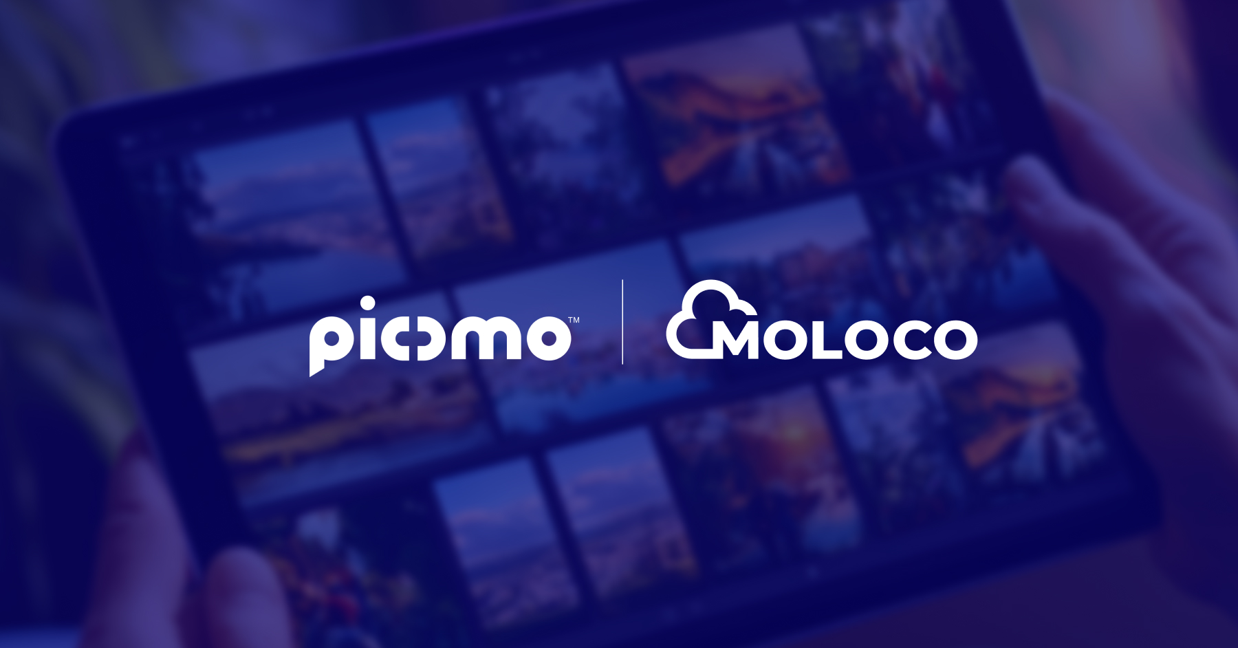 Picdmo sustainably grew new users by 7X with Moloco Ads 