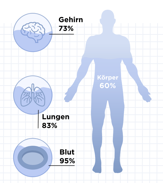 Körperwasserverteilung mit Lungen-, Blut- und Hirnwasserspiegel.