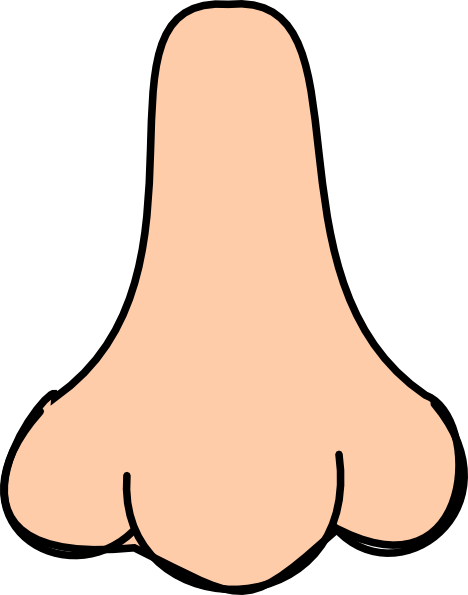 Clipart Nose