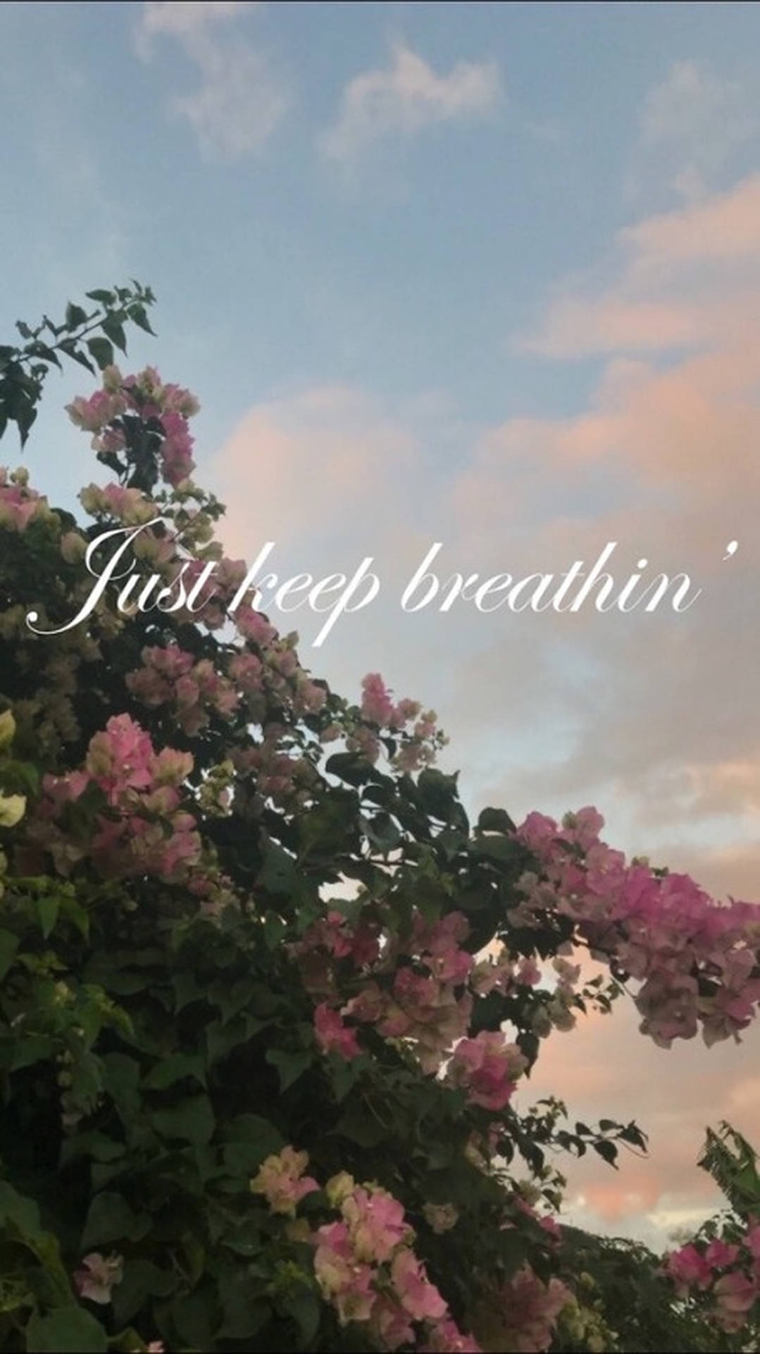 Breathing Wallpaper