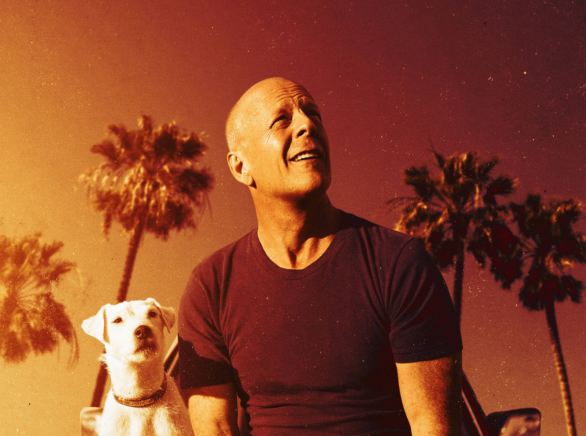 Bruce Willis Wallpaper