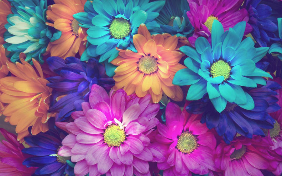 Flower Wallpaper