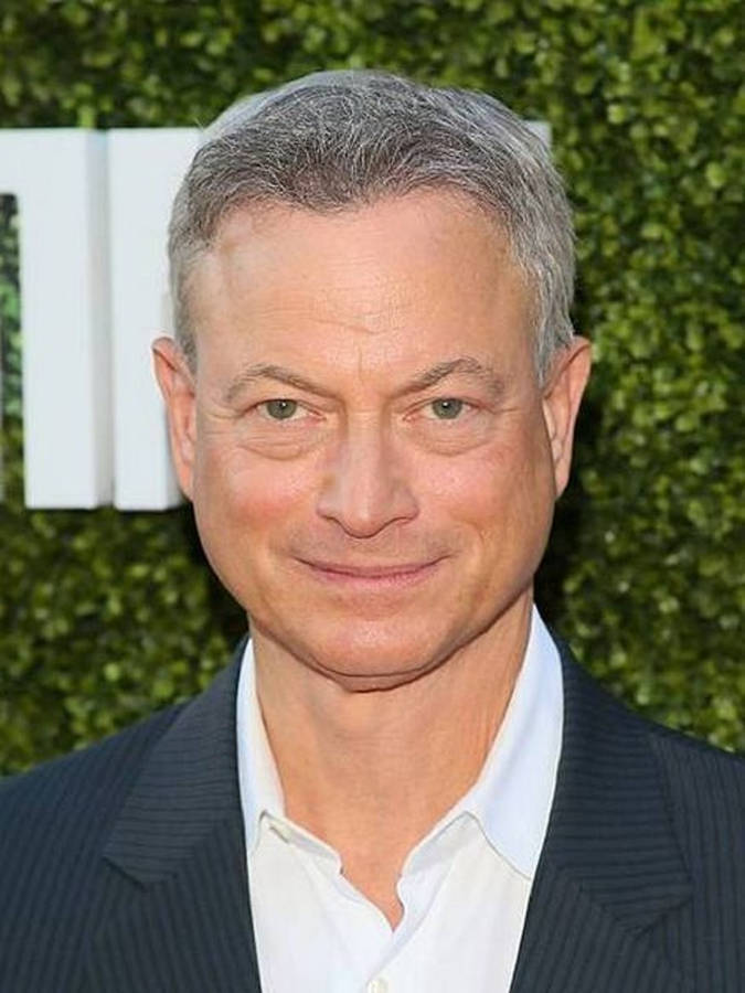 Gary Sinise Fondo de pantalla