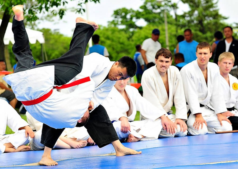 Hapkido Fondo de pantalla