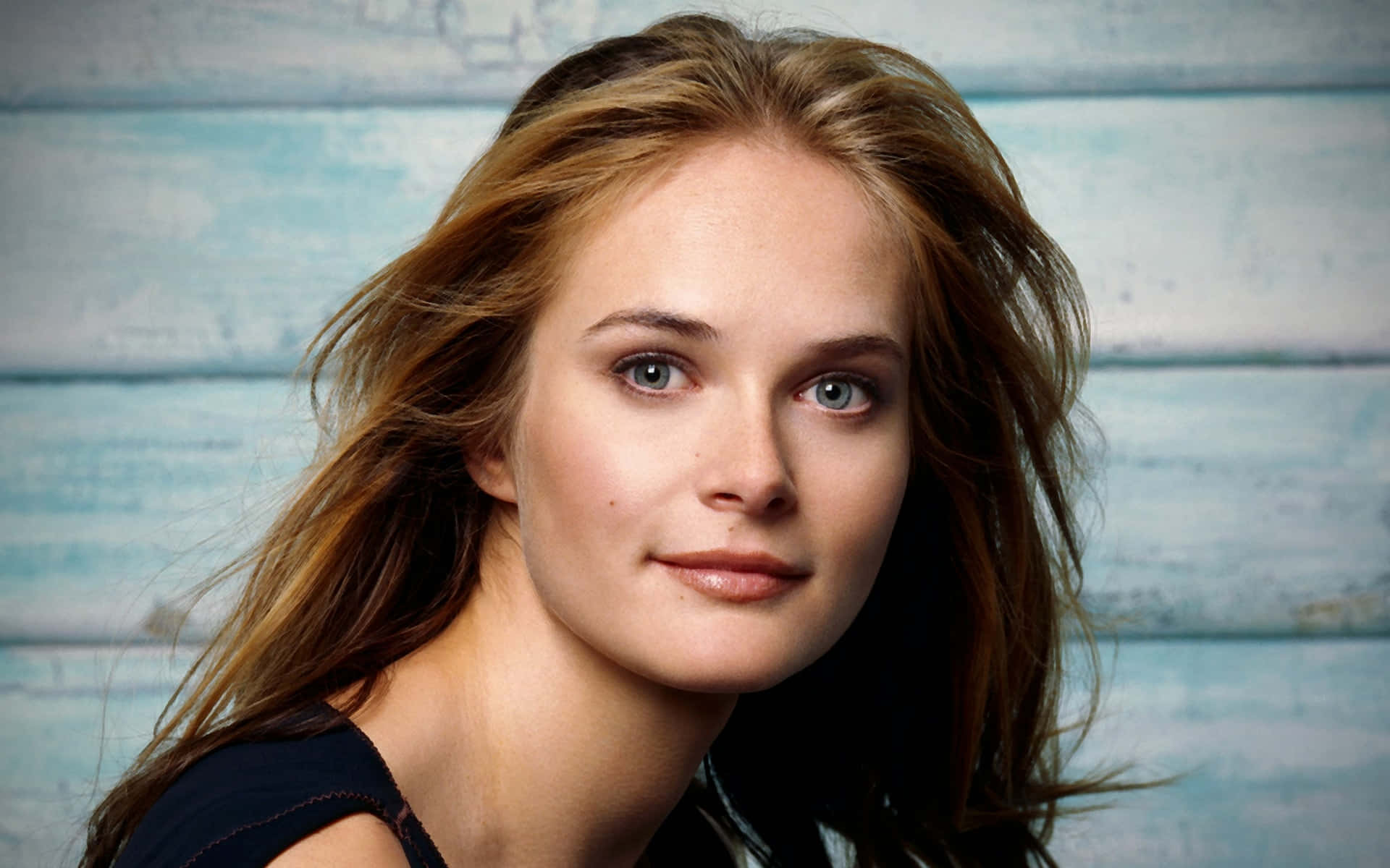 Rachel Blanchard Wallpaper