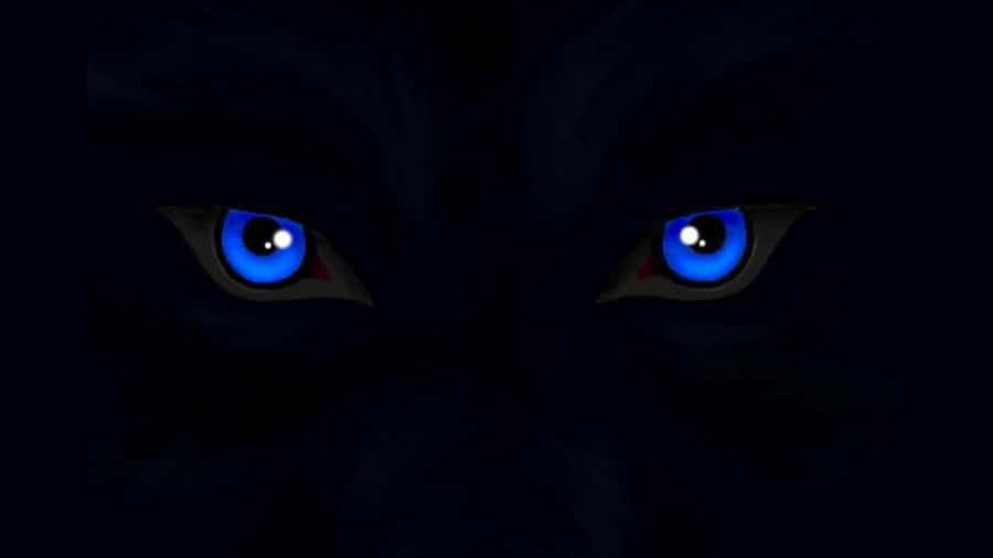 Wolf Eyes Wallpaper