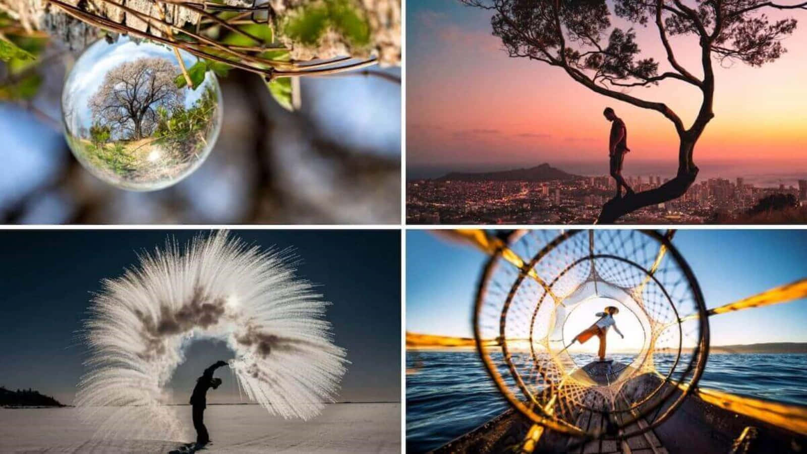 A Collage Of Pictures Of People Standing On A Tree