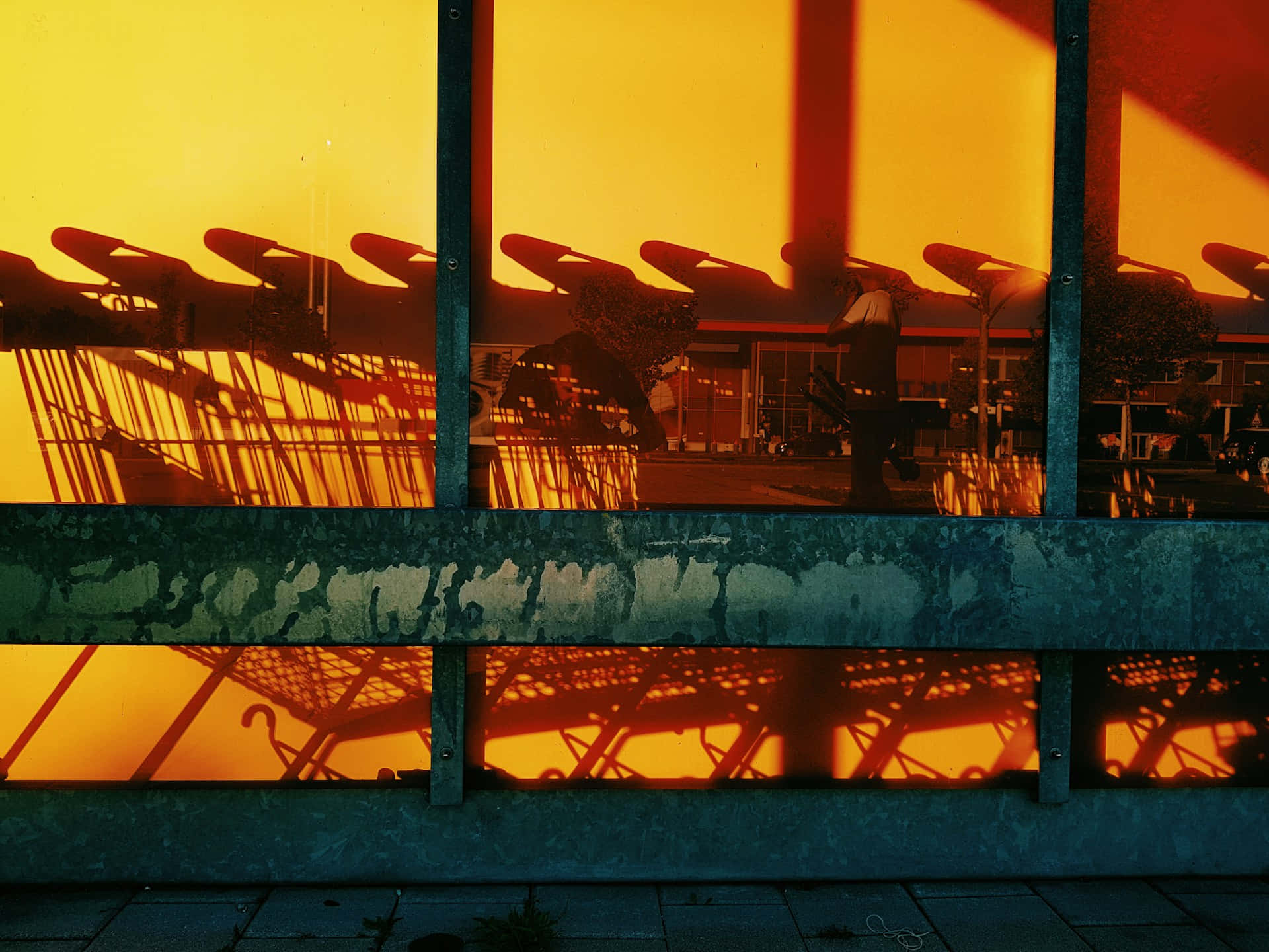 Sunset Shopping Carts Aesthetic Wallpaper