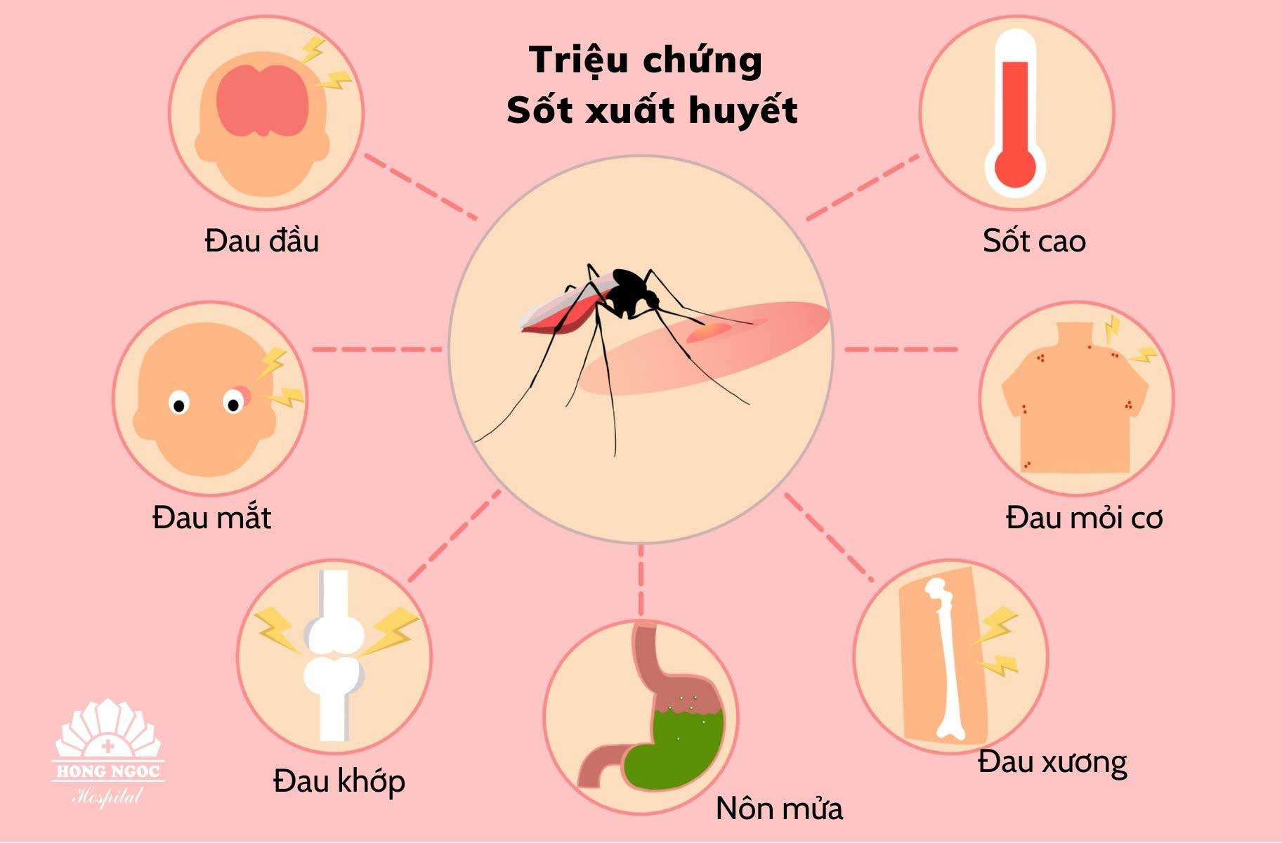 Bệnh Sốt Xuất Huyết: Triệu Chứng, Nguyên Nhân và Cách Phòng Tránh Hiệu Quả