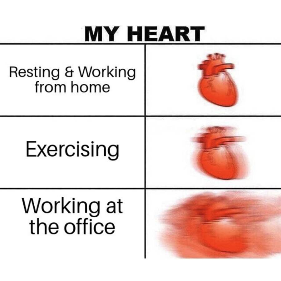 Working from home meme