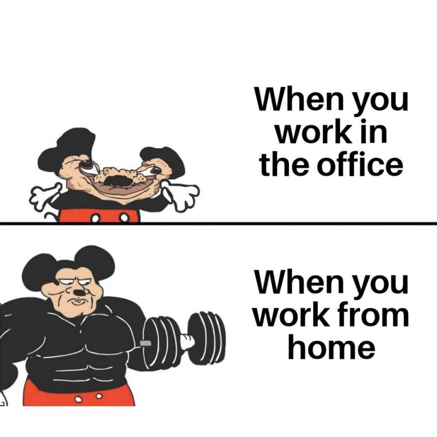 Working from home meme