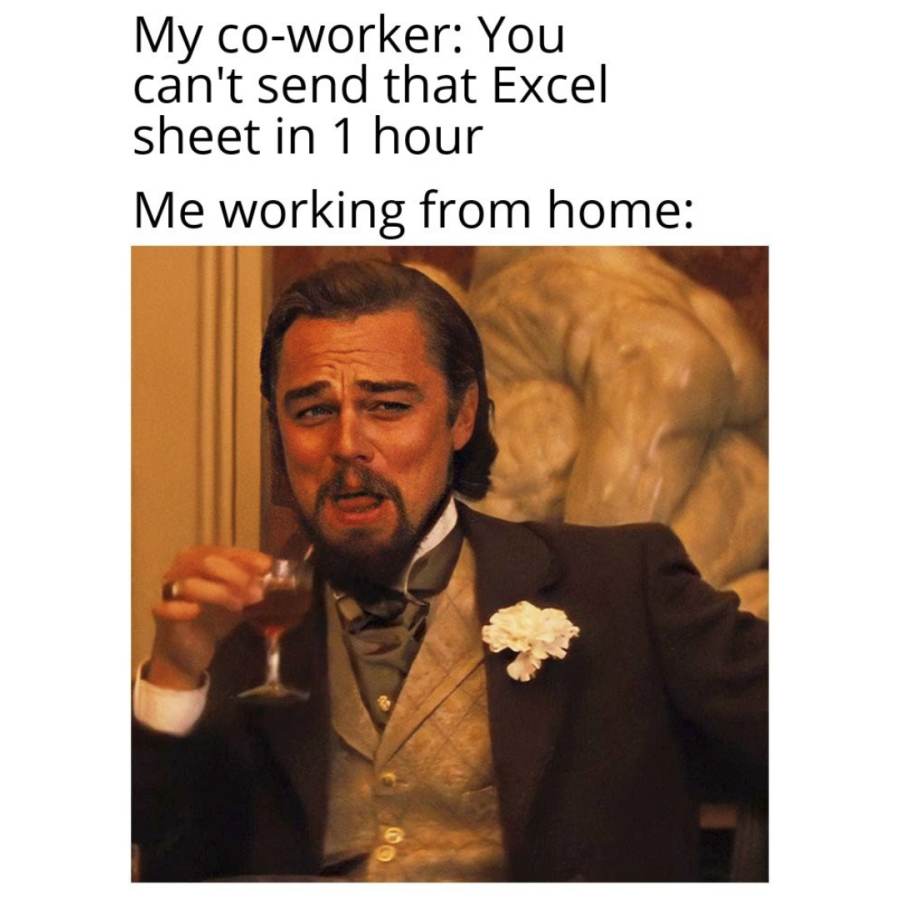 Working from home meme