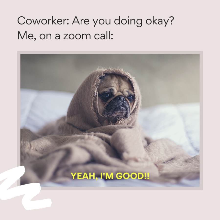 Working from home meme