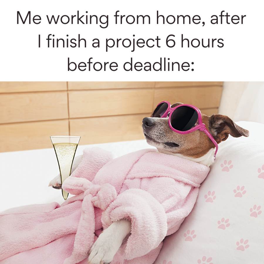 Working from home meme