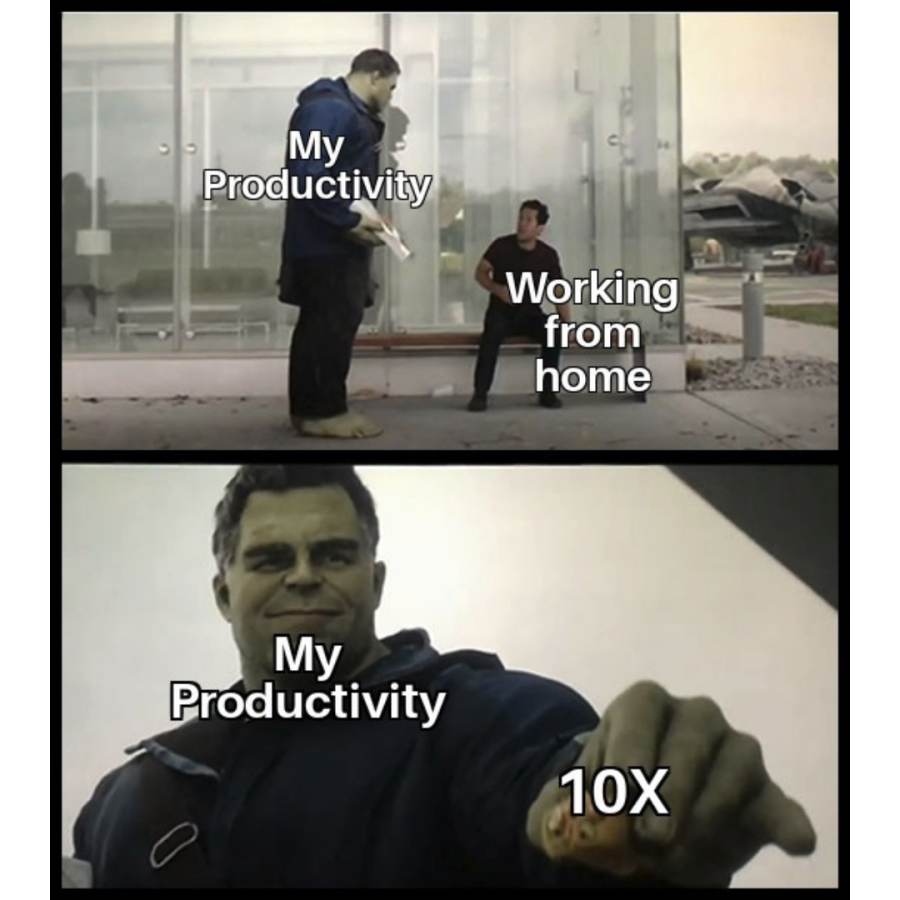 Working from home meme