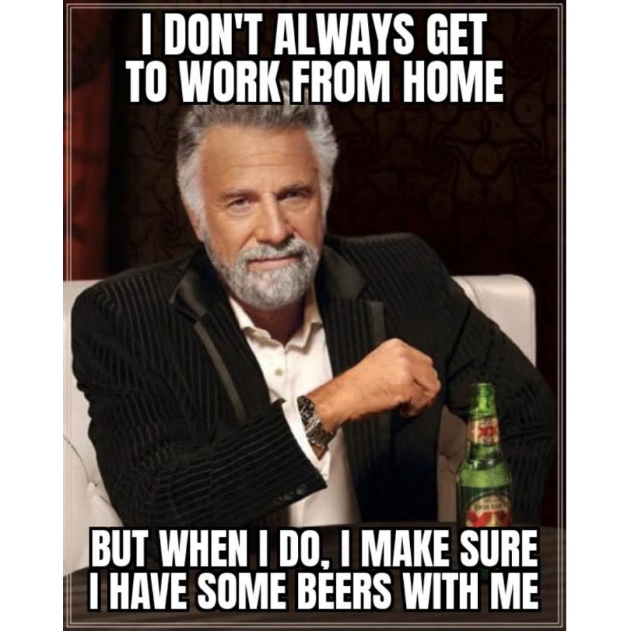 Working from home meme