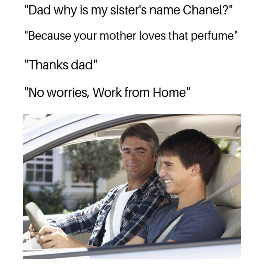 Working from home meme