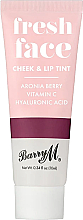 Barry M Fresh Face Cheek & Lip Tint Tint za obraze i usne