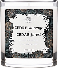 Mirisna svijeća u čaši "Cedrova šuma" Panier Des Sens Scented Candle Cedar Forest