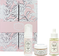 Set Panier des Sens Radiant Peony (cr/50ml + ser/30ml + foam/50ml)