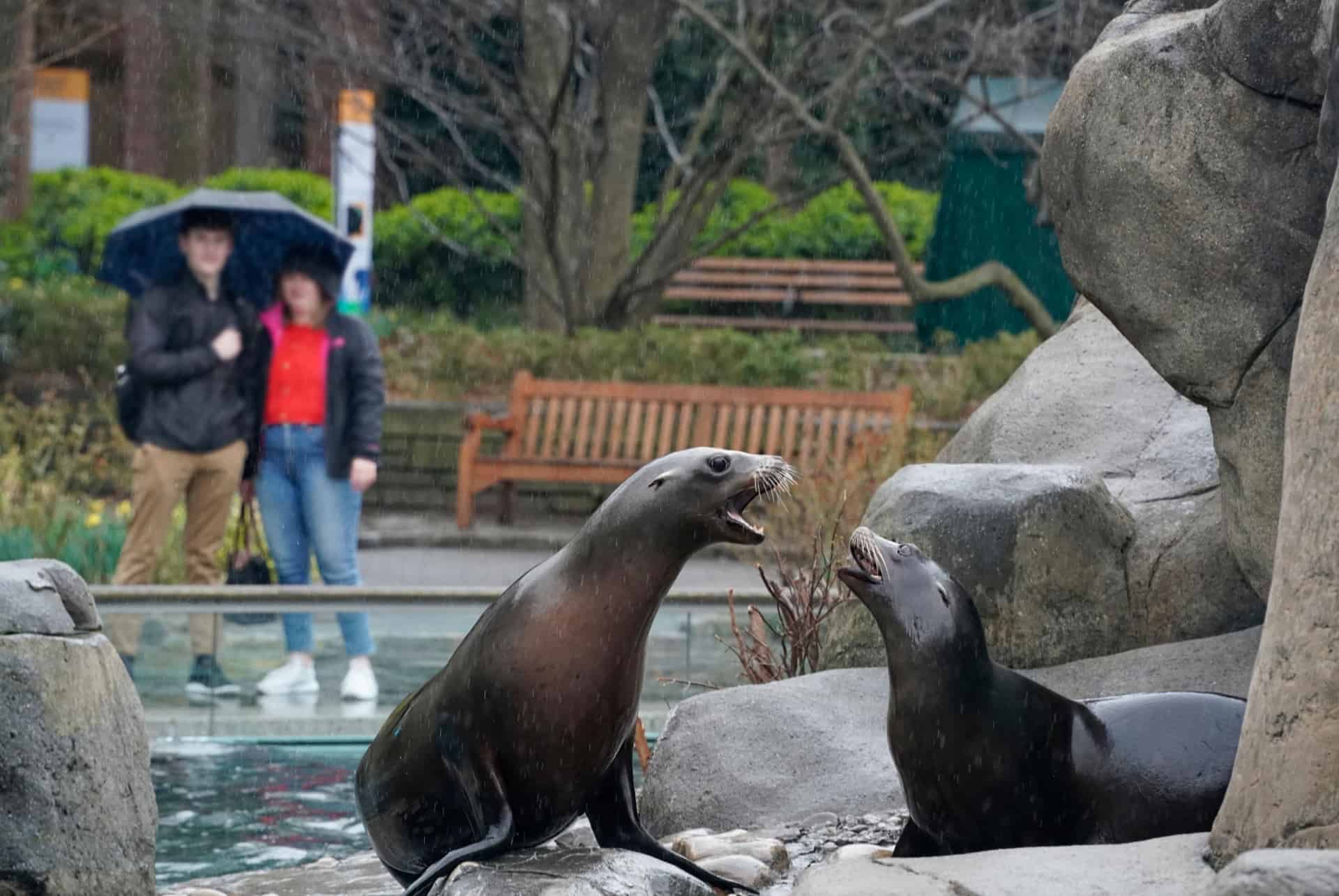 central park zoo