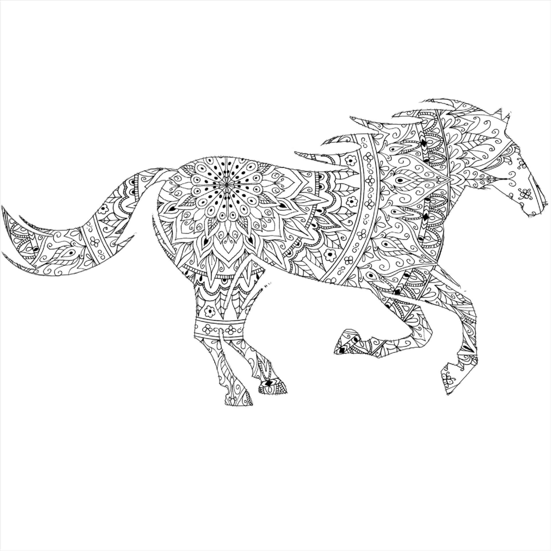 Mandala Horse Coloring Page – Sheet 12 Mandala