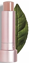 Бальзам для губ Teaology Tea Balm Lip Berry Tea